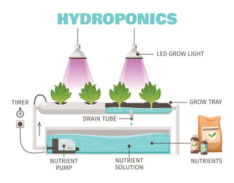 Types Of Hydroponics Systems The Hydroponics Guru