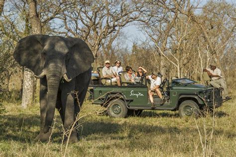 Best South African Safari Tours (Cape Town to Kruger & More) | Go2Africa