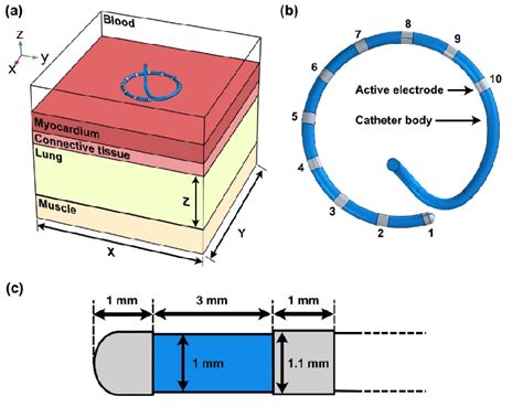 Figure From Modeling Analysis Of Thermal Lesion Characteristics Of