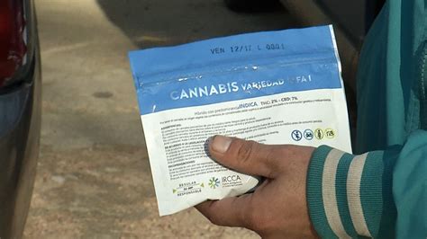 Paquete de 5 gramos de marihuana en farmacias pasará a costar 200 pesos