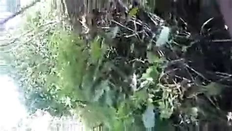 Desi Indian Lover Openly Boob Press Outdoors And Xhamster