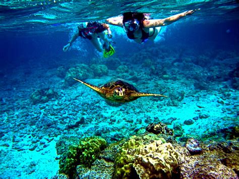 COZUMEL_SNORKELING-1_NEW