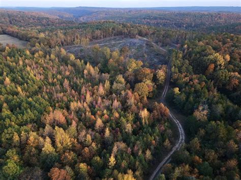 Faster booking updates are coming to johnson county ar inmate roster soon 10