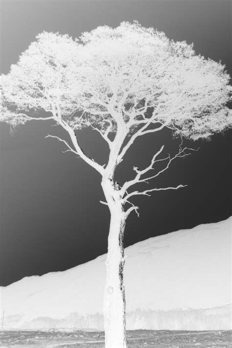 FUTUREPROOF 2022 - Street Level Photoworks