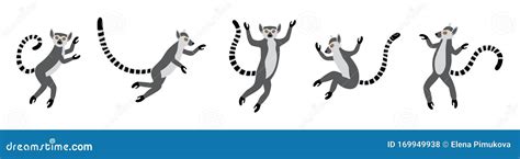 Cute Funny Ring Tailed Lemurs Jumps Exotic Lemur Catta Set Of Vector Illustrations In Cartoon