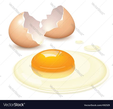 Broken egg Royalty Free Vector Image - VectorStock