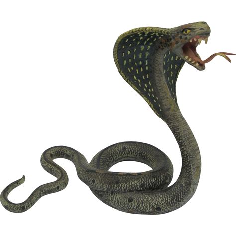 Snake Reptile Serpent Scales Jungle Png