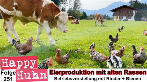 Hofvorstellung Rinderzucht Imkerei Eierproduktion Mit Alten