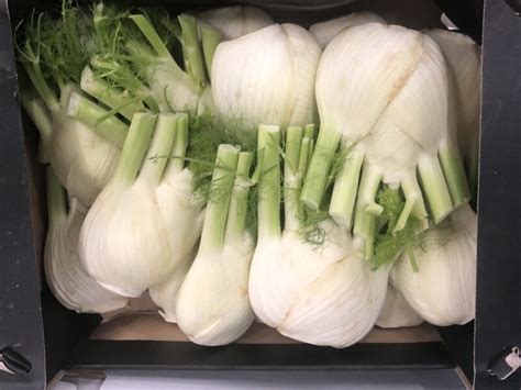 Fennel Langridge Organic Products Ltd