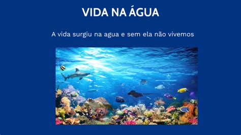 Vida Na Agua By Thayná De Oliveira Garcia On Prezi