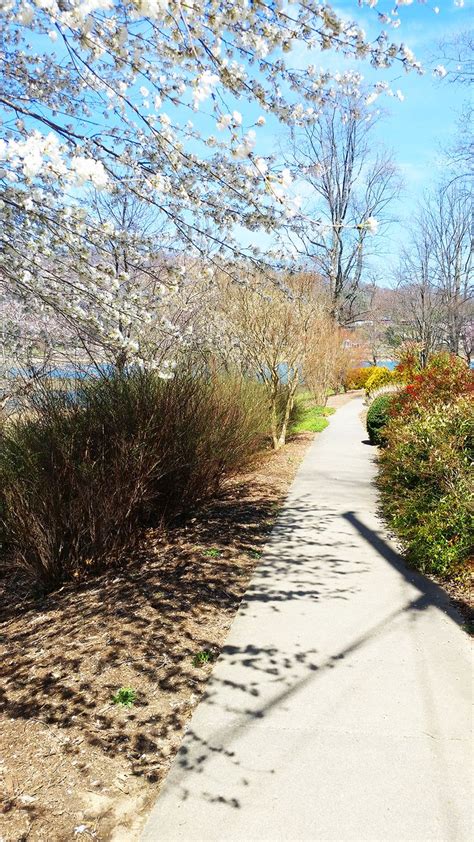 27 Best images about Walking trails of Lake Junaluska on Pinterest | Gardens, Boats and Ea