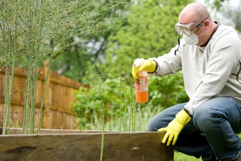 Why You Should Hire A Professional Gardener Nicki Karen