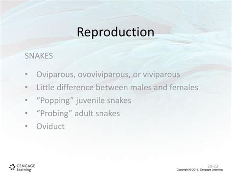 Chapter 20 Reptiles Ppt Download