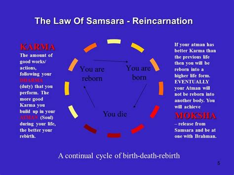 The Law Of Samsara—reincarnation — Arena