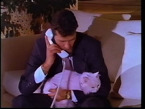 THE PINK PUSSY CAT Katy Caro