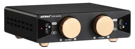 Aiyima A Mono Mono Subwoofer Amplifier