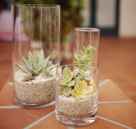 Succulent Vase Ideas Best Succulent Ideas