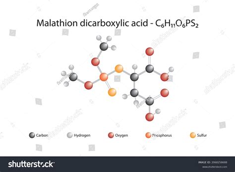 Molecular Formula And Chemical Structure Of Royalty Free Stock Vector 2068258688