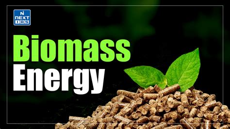Biomass Energy: About, Significance, Advantages & More 
