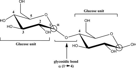 4 Maltose structure. Chemical structure of maltose... | Download ...