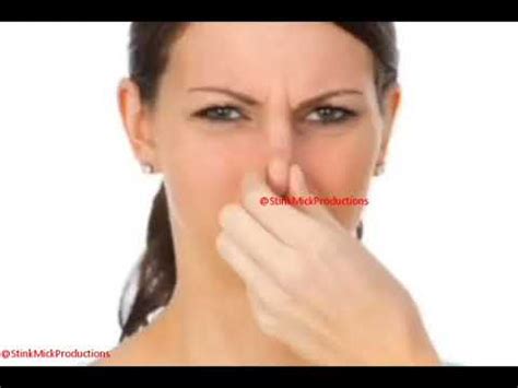 Wazza Stank Pussy Youtube