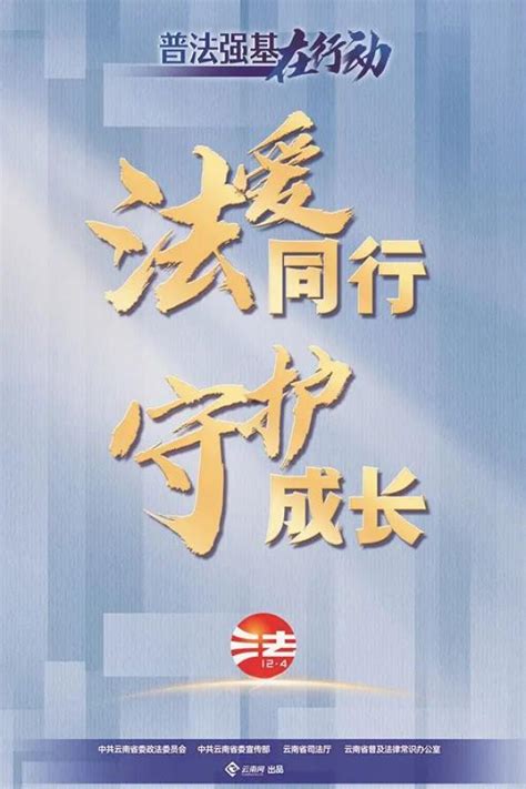 【普法强基在行动】“普法强基”宣传海报 澎湃号·政务 澎湃新闻 The Paper