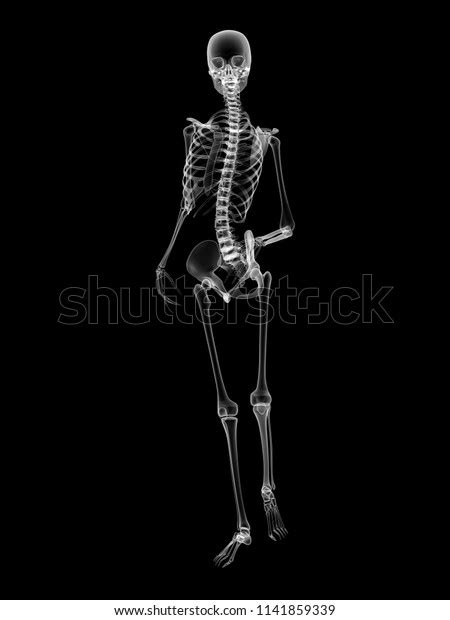 X Ray Human Body 3d Render Stock Illustration 1141859339 Shutterstock