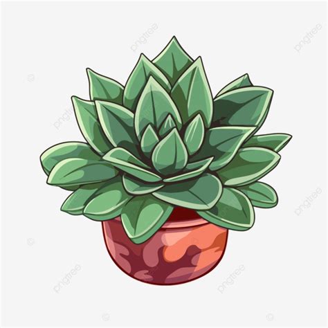 Planta Suculenta Clipart Planta Suculenta De Dibujos Animados Coloridos