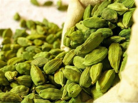 Green Dried Cardamom Seeds Packaging Type Type Packaging Size 100g At Rs 1200kg In Idukki