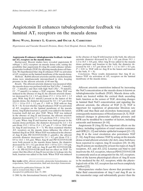 (PDF) Angiotensin II enhances tubuloglomerular feedback via luminal AT ...