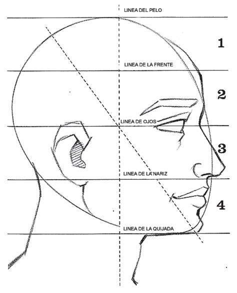 Pin De Gena En Anatomía Cómo Dibujar Retratos Aprender A Dibujar