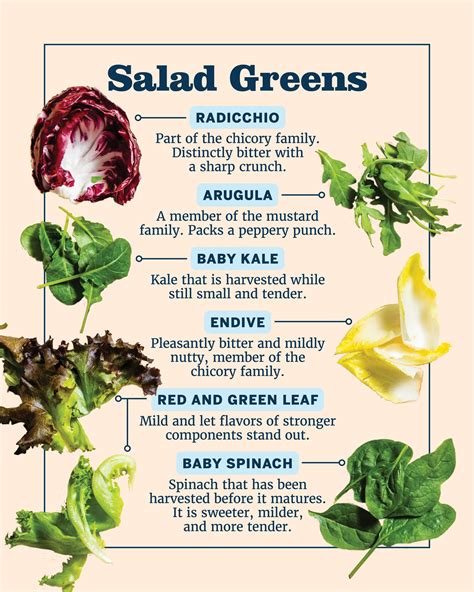 Types Of Bitter Greens Bitter Greens Recipes: 15 Greens And Vegan