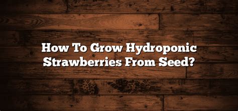 How To Grow Hydroponic Strawberries From Seed Inter Culturalu