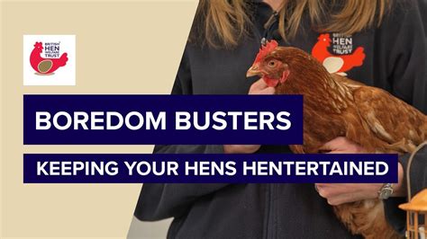 British Hen Welfare Trust Hen Health Boredom Busters Youtube