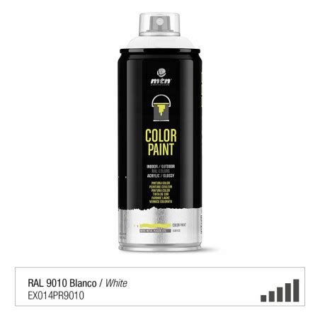 Peinture De Couleur RAL 9010 Blanc Brillant En Spray De 400ml