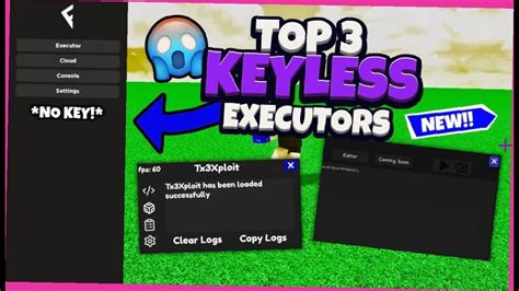 Best Keyless Roblox Executors 2024 Fluxus And More 🔥 Youtube