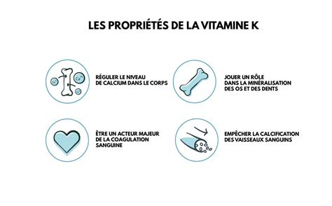 La Vitamine K Plus Importante Que Lon Ne Croit