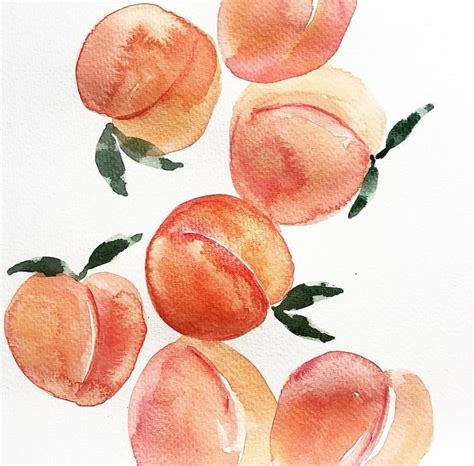 Pinterest Insatiiable Peach Art Watercolor Fruit Fruit Painting