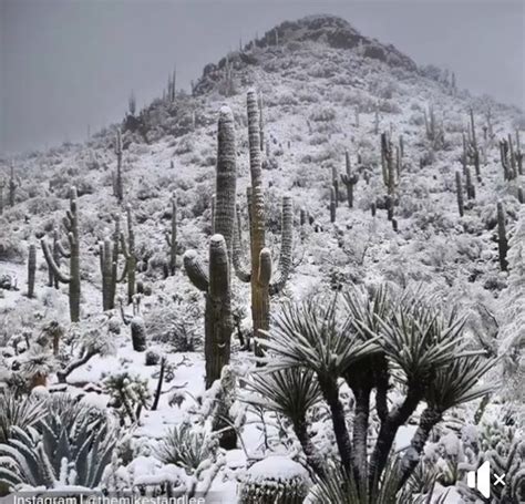 Pin By Judy Feuz Cain On Arizona Stuff Snow Outdoor Arizona