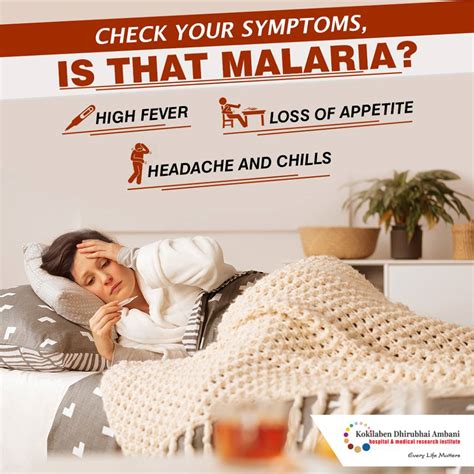 Symptoms Of Malaria Health Tips From Kokilaben Hospital