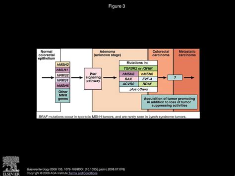 Genomic And Epigenetic Instability In Colorectal Cancer Pathogenesis