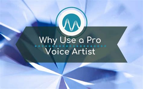 Why Use Professional Voice Over Artist - Voice Overs You Will Love