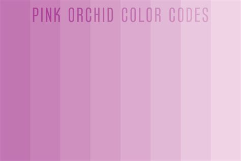 Pink orchid color shades, Orchid flower color palette set vector ...