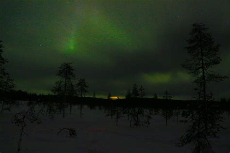 Things to do in Rovaniemi - Northern Lights and Tours - Love & Road