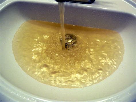 Brown Water Through Tap The Plumbette