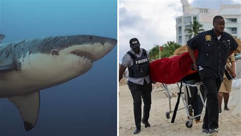 Trágico Ataque De Tiburón Se Cobra La Vida De Turista Estadounidense