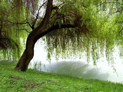 Ogród Botaniczny UMCS w Lublinie Wizyta w ogrodzie Zielony Ogródek