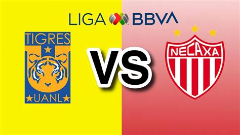 TIGRES VS NECAXA LIGA MX J1 APERTURA 2024 YouTube