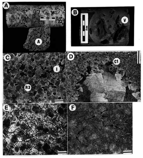 Examples of replacement dolomites and later cements, Rimbey-Meadowbrook... | Download Scientific ...