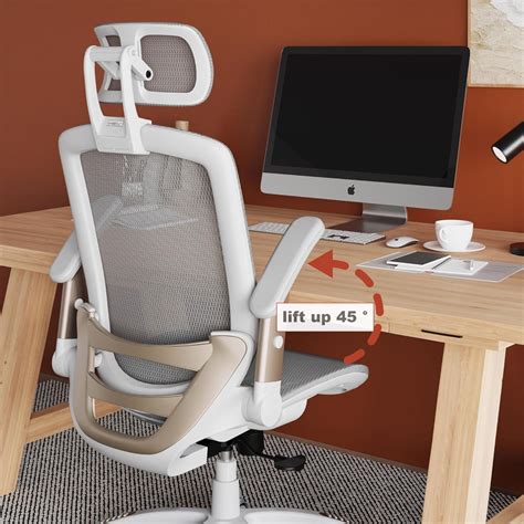 GABRYLLY Ergonomic Office Chair High Back Home Desk Chair With